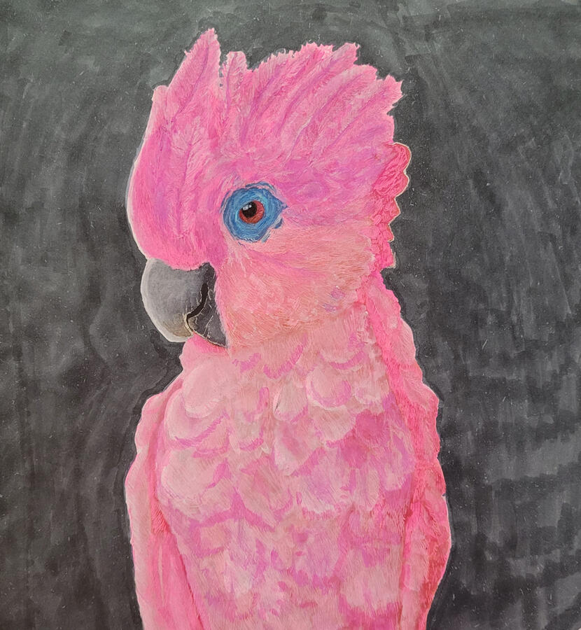 Gel pen & marker illustration